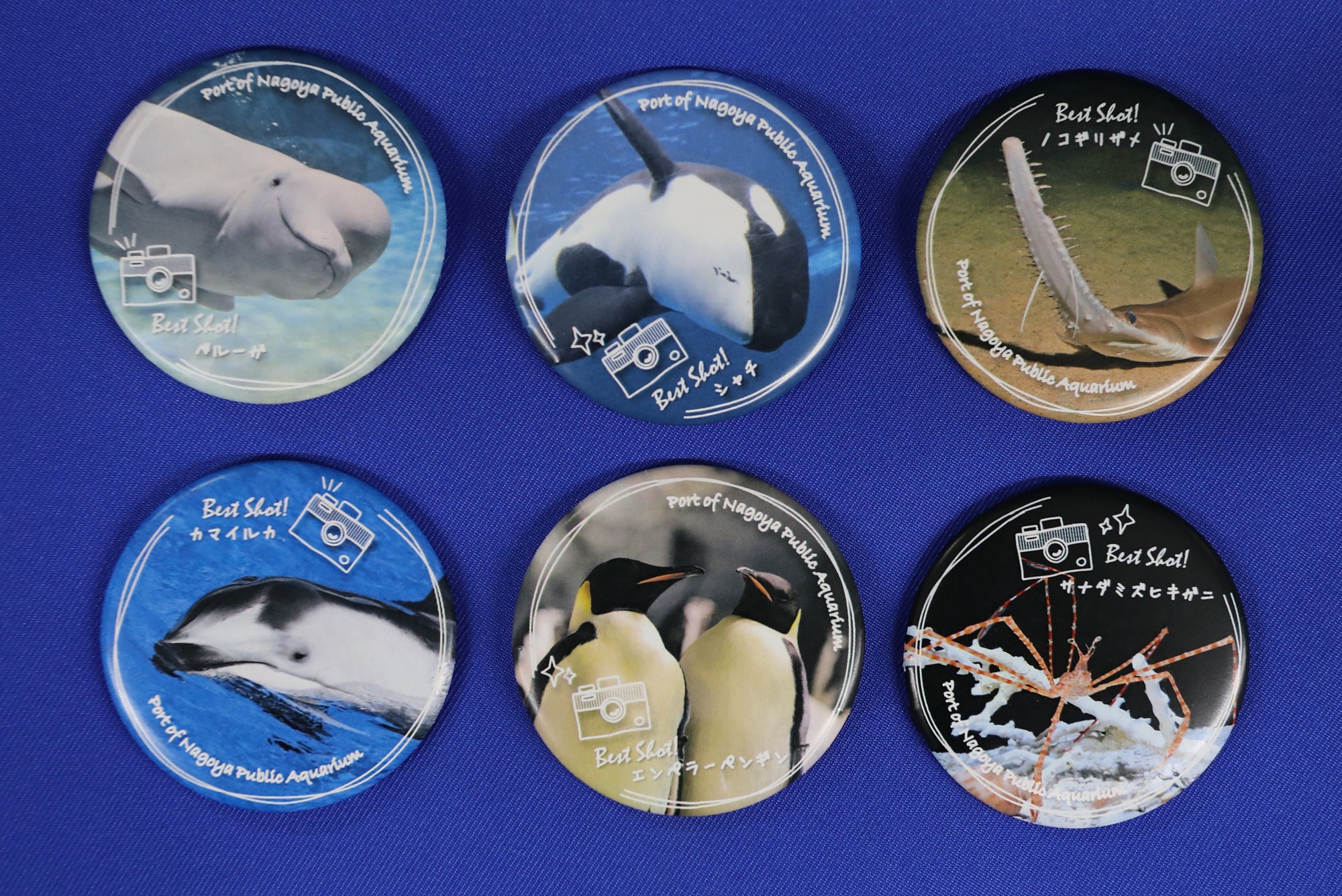 【水族館deクルッと寄付】返礼品に「スタッフが選んだベストショット！！第2弾」 名古屋港水族館オリジナル缶バッジが登場します