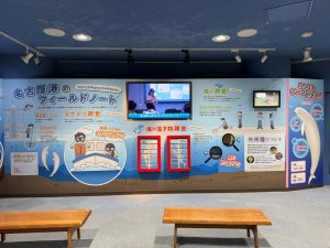 発見コーナーをリニューアルしました！