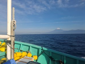 「今年も行ってきました！駿河湾深海生物採集」