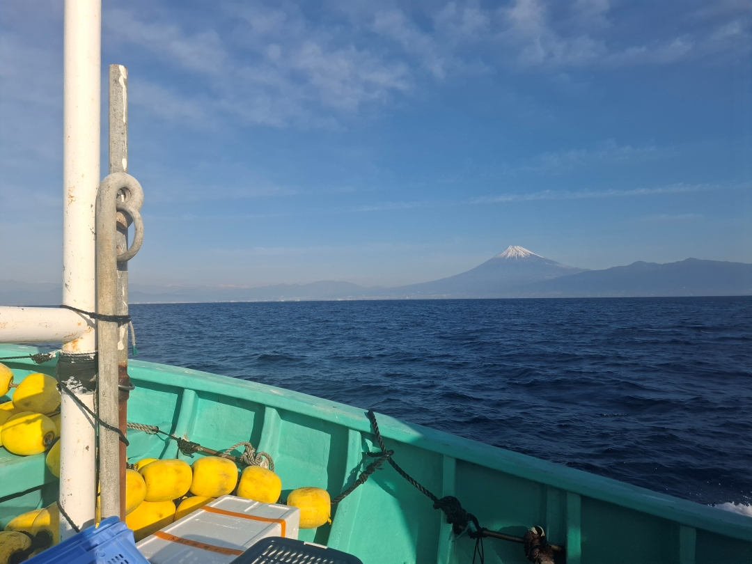 「今年も行ってきました！駿河湾深海生物採集」