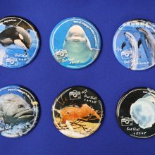 【水族館deクルッと寄付】返礼品に「スタッフが選んだベストショット！！第3弾」 名古屋港水族館オリジナル缶バッジが登場します