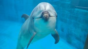 こどもらしさがみんなを笑顔に🌸～RAY　part1～