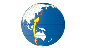 ミッション！南極の魚を運べ！！～オーストラリア受け渡し編～