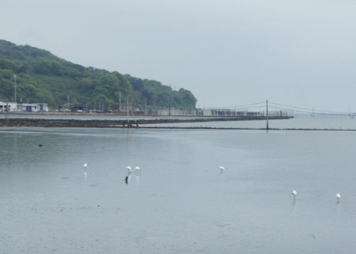 「ドゥルー女史記念祭」に行ってきました。　その1