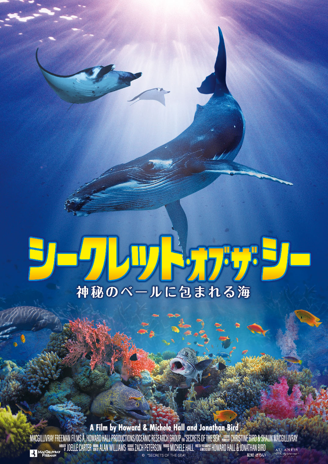 【サイン入り】レア　くりぃむしちゅー　海砂利水魚　単独ライブ2本セットVHS サイン入り】レア くりぃむしちゅー 海砂利水魚 単独ライブ2本セット