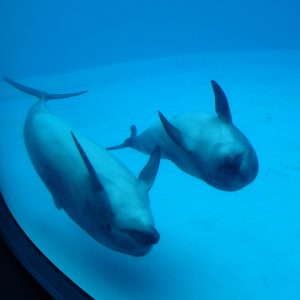 飼育係の大事なお仕事～親子観察編～