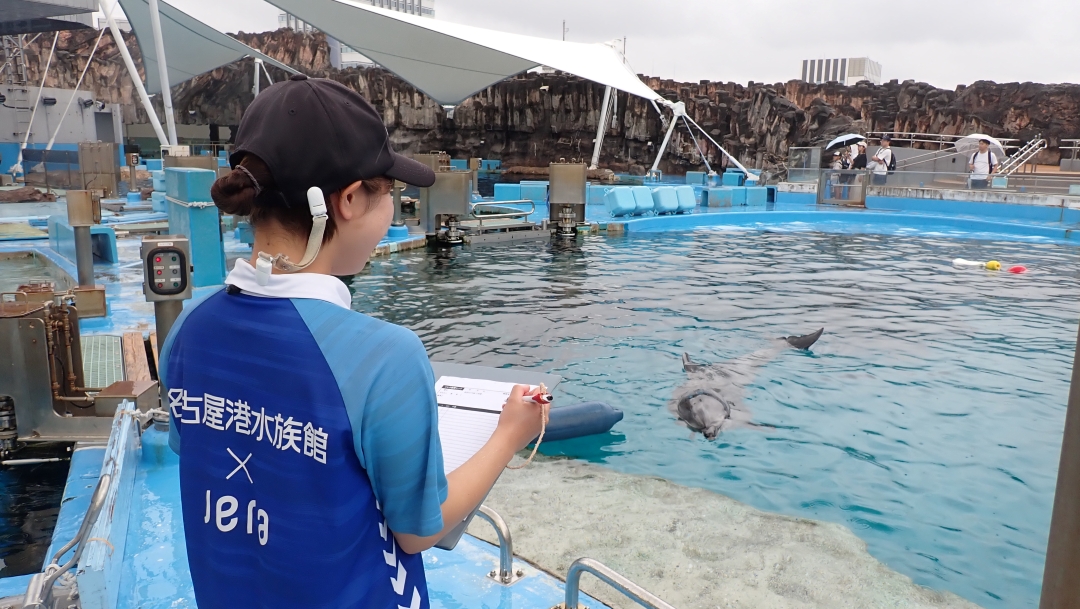 飼育係の大事なお仕事～行動観察編・後編～