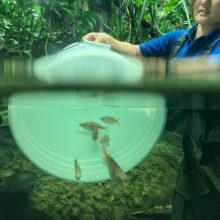 新着！ 海の生き物レターを発行しました （更新日 : 2026.9.14）