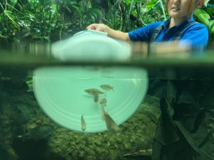 新着！ 海の生き物レターを発行しました （更新日 : 2026.9.14）