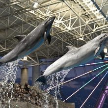 シルバーウィーク期間は夜間営業します