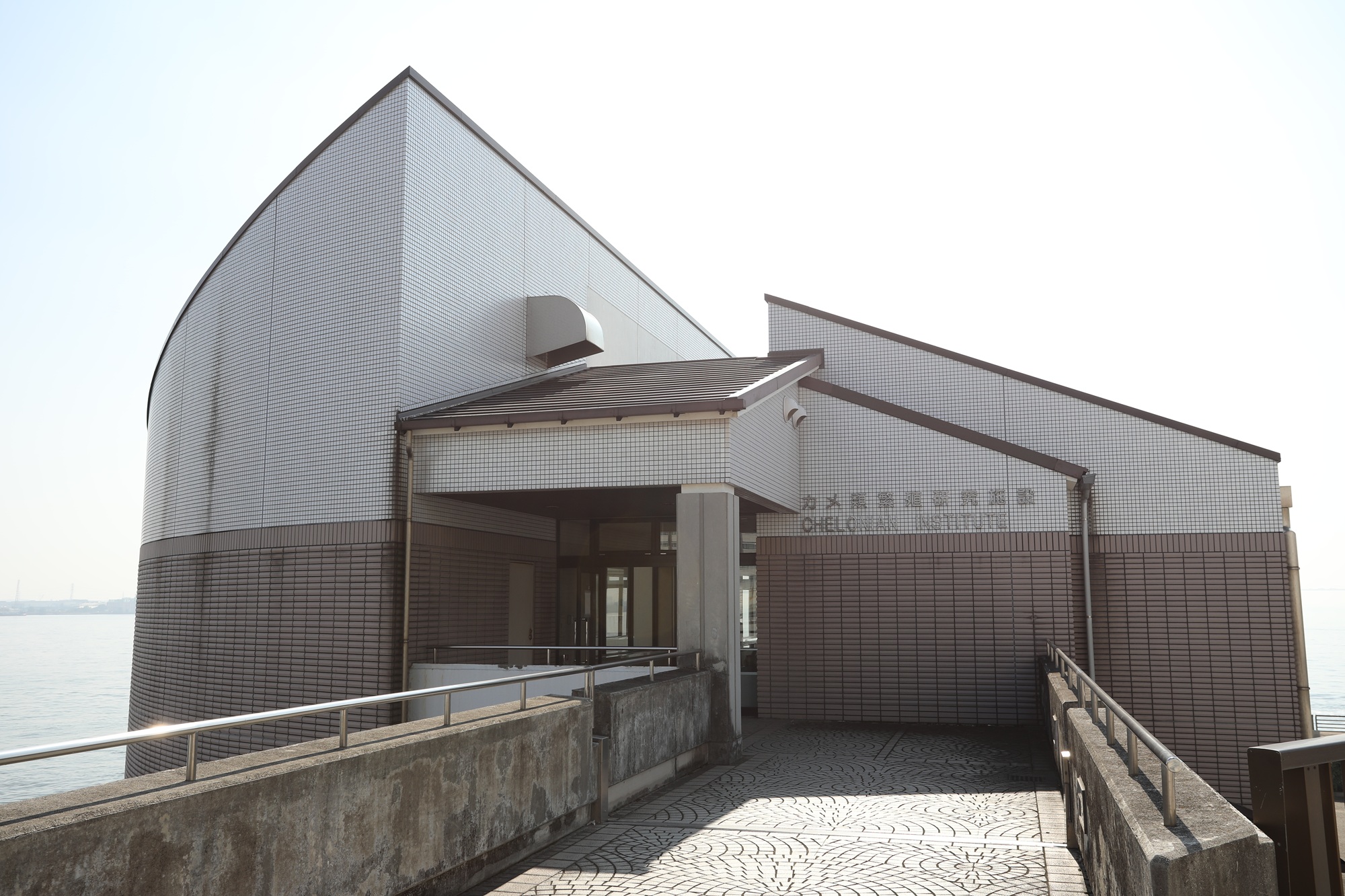 カメ類繁殖研究施設の展示休止について