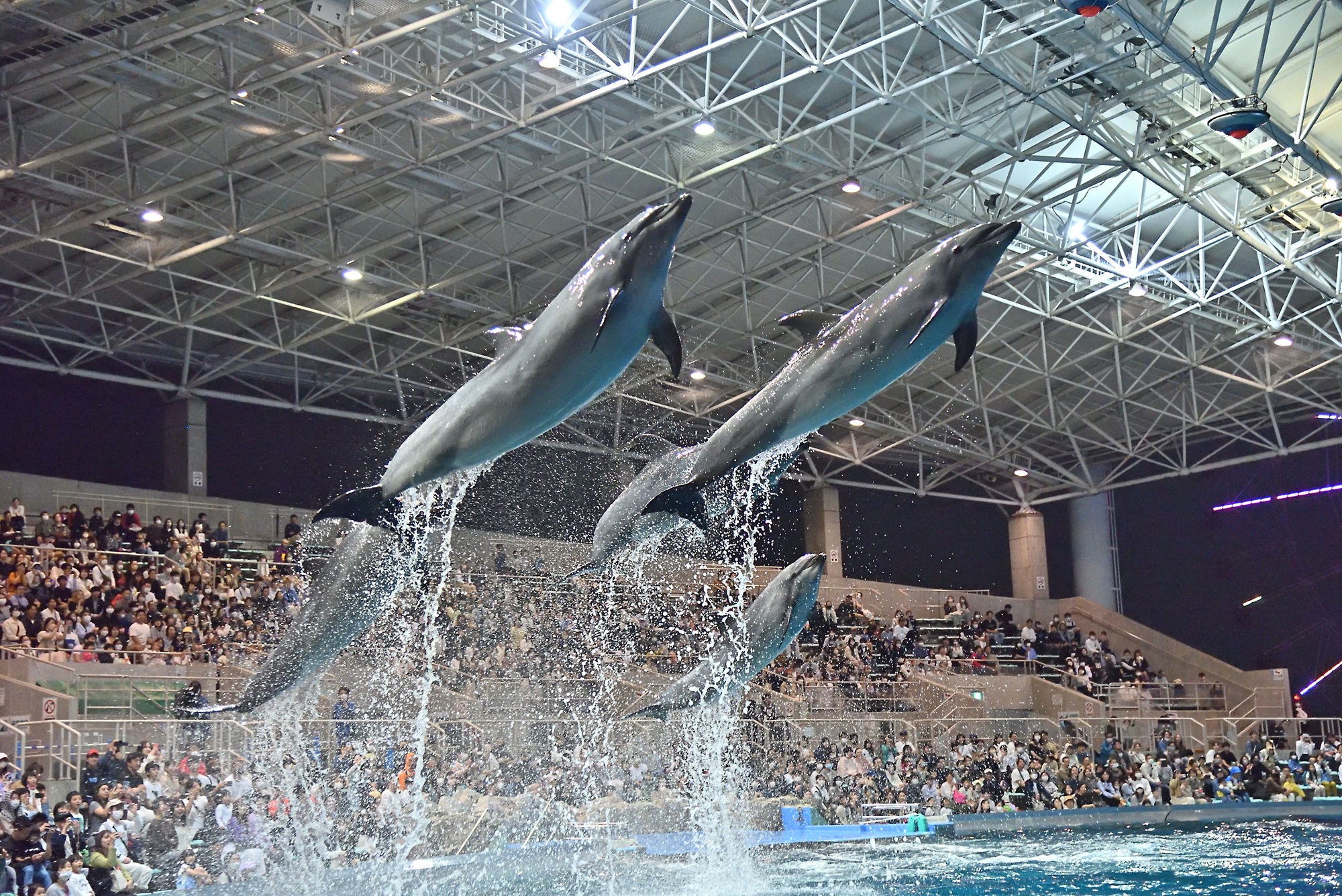 シルバーウィーク期間は夜間営業します｜名古屋港水族館ホームページ<公式>