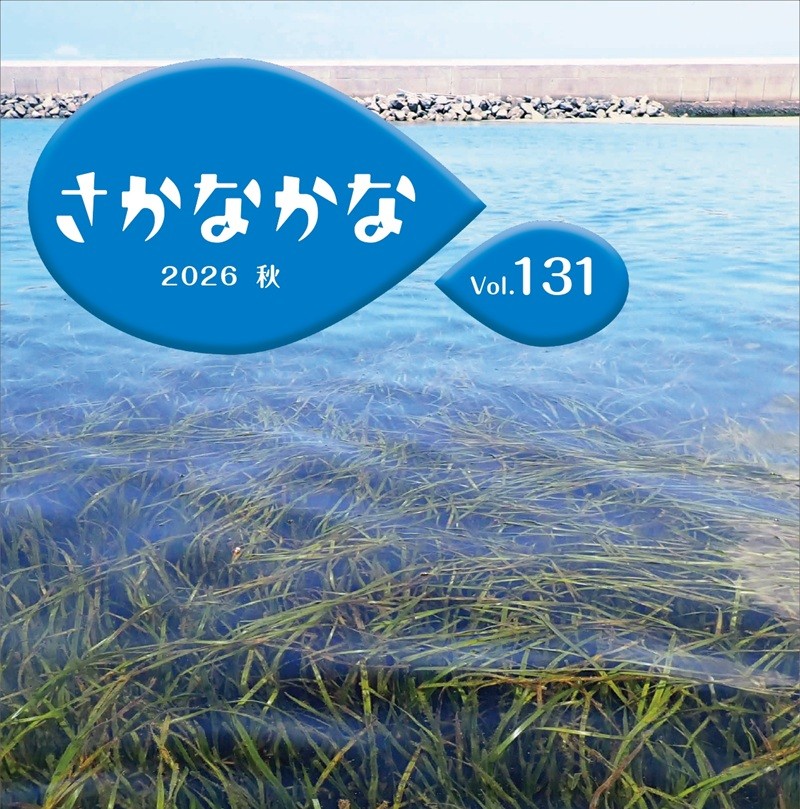 【機関紙「さかなかな」最新号】 Vol.131 2026 秋を発行しました