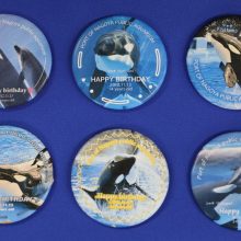 【水族館deクルッと寄付】返礼品に「ハッピーバースデー2026」 第3弾 オリジナル缶バッジが登場します　