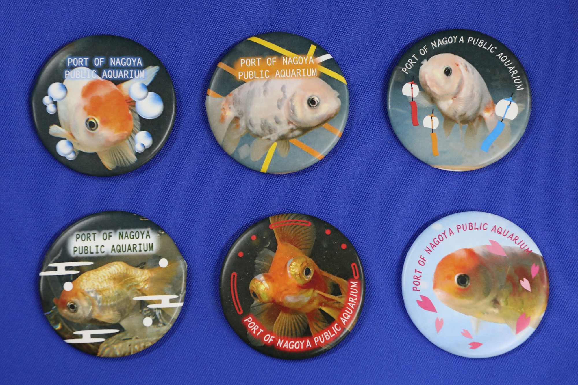 【水族館deクルッと寄付】返礼品に特別展「KINGYO～四季が彩る日本の金魚文化～」オリジナルコラボ缶バッジが登場します　
