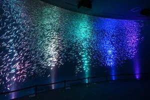 マイワシのトルネードを雨上がりの虹バージョンに変更します